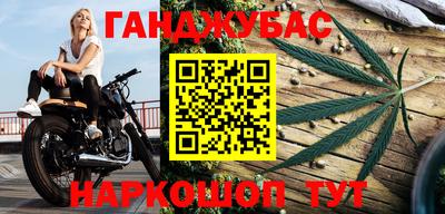индика Аргун