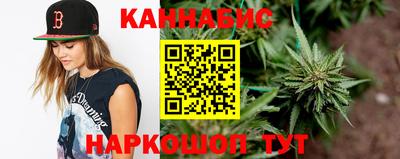 индика Аргун