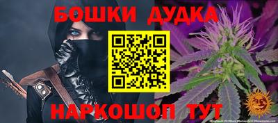 индика Аргун