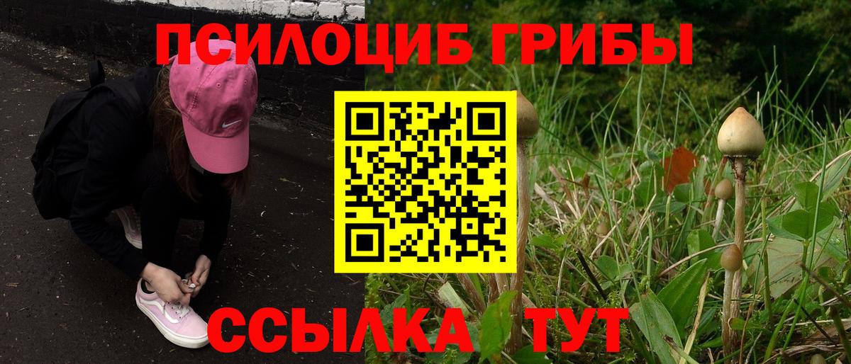 Владивосток  Галлюциногенные грибы MAGIC MUSHROOMS  Вход с VPN 
