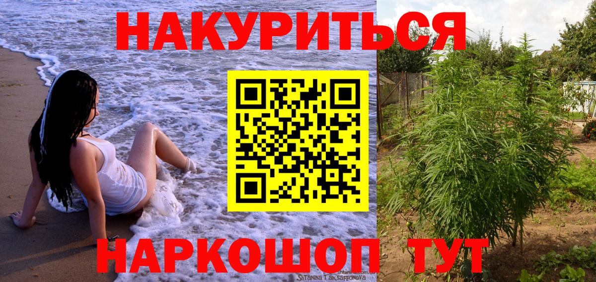 Конопля OG Kush Владивосток